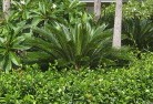 Cooma VICtropical-landscaping-4.jpg; ?>