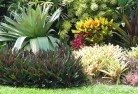 Cooma VICtropical-landscaping-9.jpg; ?>